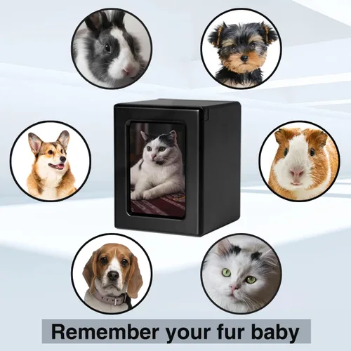 Miniatura 4 de PCS Urnas de mascotas para gatos, urna de foto de gato, urnas de gato para cenizas, caja de cremación para mascotas, color negro, pequeña