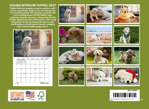 Miniatura 2 de Calendario de cachorro Golden Retriever 2027 mensual de pared de 12 meses Golden Retriever cachorro