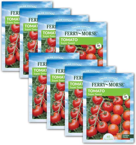 Miniatura 2 de Ferry-Morse Online Edition Tomato Supersweet 100 semillas híbridas – Alta tasa de germinación, sin OGM – Paquete de 8 Tomato Supersweet 100 Hybrid