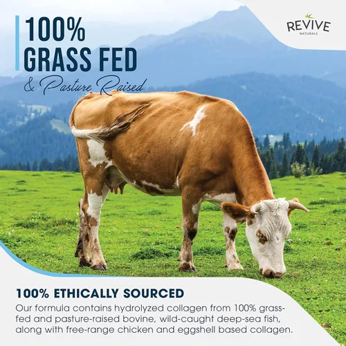 Miniatura 3 de Revive Naturals Multi Colágeno Hidrolizado Polvo de Proteína (16oz) - Tipos I, II, III, V y X - Bovino Alimentado con Pasto, Marino Pescado Salvaje