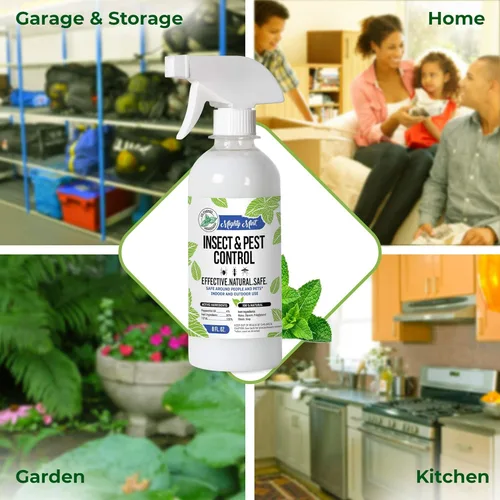 Miniatura 5 de Aceite de menta para control de insectos y plagas de 8 oz - Spray natural para arañas, hormigas y más (2)