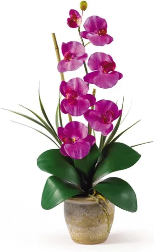 Miniatura 6 de Nearly Natural 1016-GY Phalaenopsis - Arreglo floral de orquídea de seda, amarillo, 9x6x21