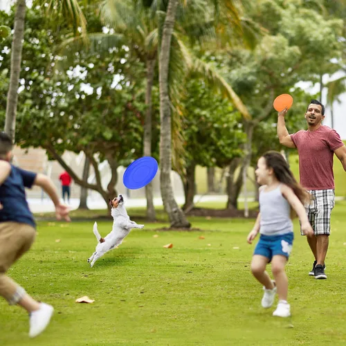Miniatura 5 de Disco Volador para Niños de 7 Pulgadas, Discos Voladores de Silicona a Granel para Niños, Perros, Exteriores, Patio Trasero, Césped, Escuela