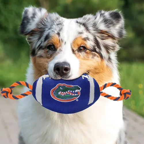 Miniatura 2 de Pets First NFL NFL - Fútbol de nailon unisex Florida Gators