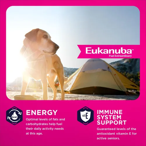 Miniatura 6 de Eukanuba - Alimento seco para perros de raza grande, bolsa de 33 libras