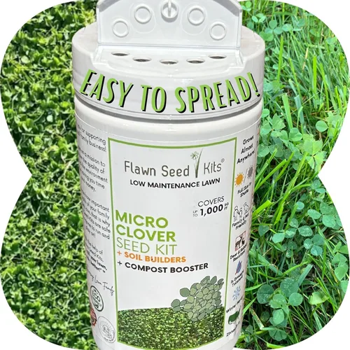 Miniatura 9 de Flawn Seed Kits Kit de semillas de micro trébol, 250 pies cuadrados, agitador de fácil propagación, bajo mantenimiento, cubierta de suelo, apto