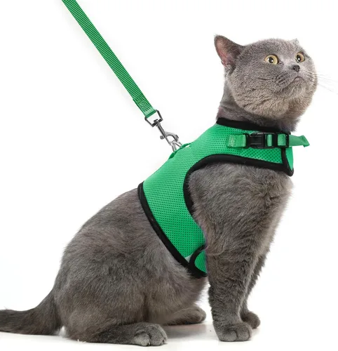 Miniatura 35 de PUPTECK Juego de arnés y correa de malla suave para gatos, arnés acolchado para mascotas, a prueba de escape, para gatos, perros pequeños, conejos