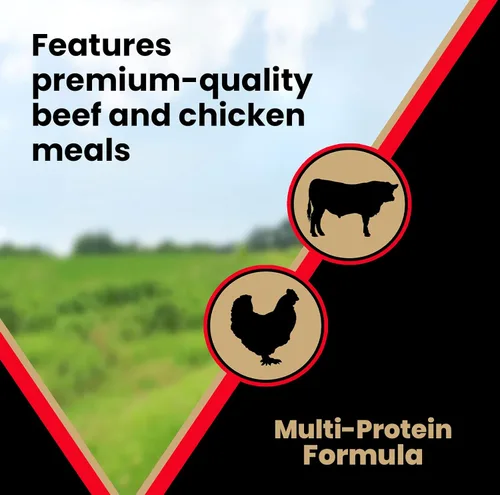 Miniatura 5 de VICTOR Super Premium Comida para Perros – Alimento seco para perros de alta energía para perros activos – Croquetas caninas sin gluten con proteínas