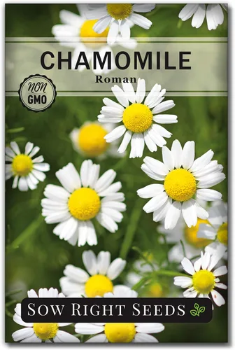 Sow Right Seeds - Semillas de manzanilla romana para plantar - Paquete de reliquia sin OMG con instrucciones para cultivar un jardín de té de