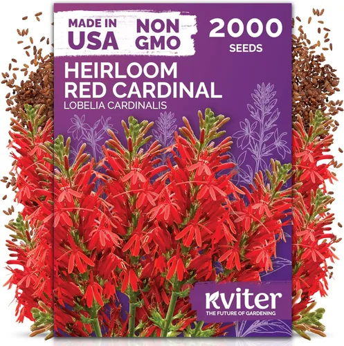 Miniatura 14 de KVITER 1600 semillas de pensamiento de los gigantes suizos para plantar (Viola wittrockiana) - Paquetes de semillas de colores mixtos Flores