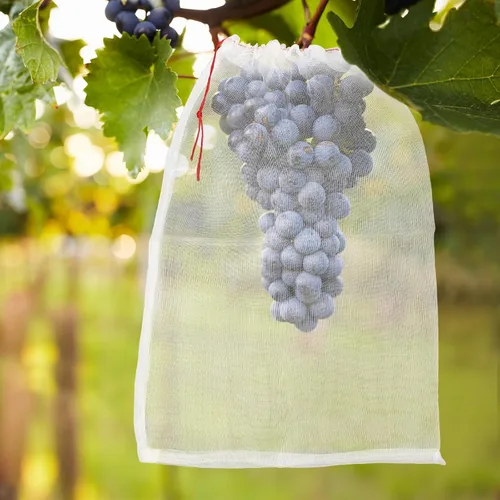 Miniatura 5 de Bolsas protectoras de frutas de malla, 50 bolsas de frutas grandes de 14 x 21 pulgadas para árboles frutales, bolsa de malla duradera para jardín