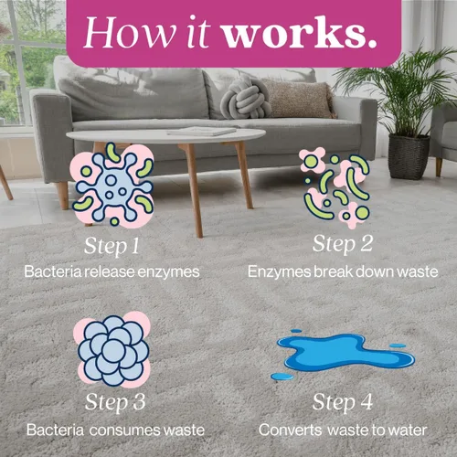 Miniatura 7 de Eco Strong Eliminador de manchas y olores de gatos Neutralizador de olores de orina enzimática – Quitamanchas para alfombras, cajas de arena, ropa