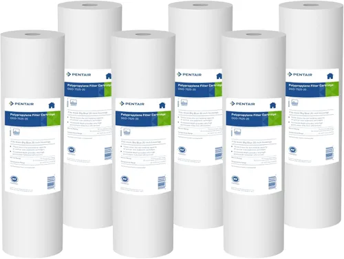 Pentair Pentek DGD-7525-20 - Filtro de agua Big Blue, repuesto de cartucho de filtro de sedimentos de 20 pulgadas para toda la casa, polipropileno
