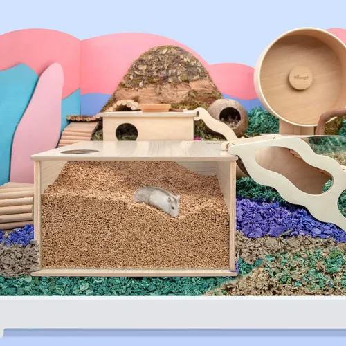 Miniatura 6 de Niteangel Caja de excavación visible para hámsteres sirios, enanos, Roborovski, Campbell, jerbos, ratones, limming, degus u otras mascotas