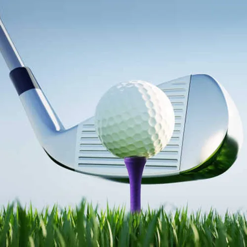 Miniatura 7 de Crestgolf Camiseta de golf de lujo de 2-3/4 pulgadas, paquete de 100 Púrpura