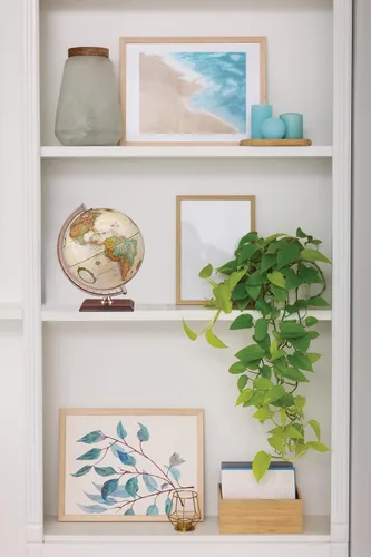 Miniatura 4 de Replogle Globes Forester Globe, océano antiguo, 9 pulgadas de diámetro, pequeño, multicolor