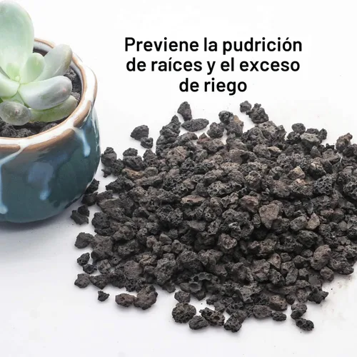 Miniatura 3 de TOYPOPOR Aditivo de suelo de roca de lava hortícola negra para cactus y plantas suculentas sin tintes ni productos químicos, 100% pura roca