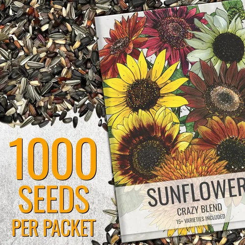 Miniatura 2 de Seed Needs Semillas de girasol para plantar La mezcla Crazy original 1 onza 15+ variedades heirloom polinizadas abiertas y sin tratar Paquete a