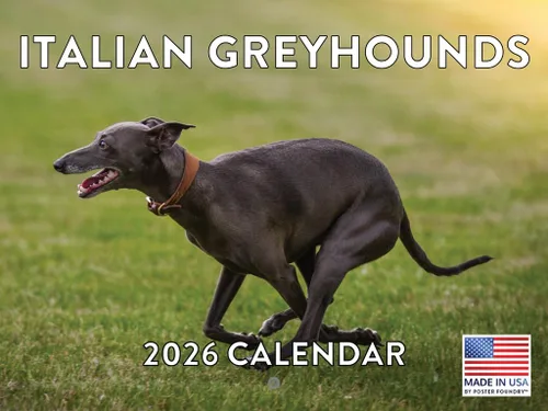 Miniatura 167 de Calendario de pared mensual 2025 Great Dane de 12 meses, fabricado en Estados Unidos