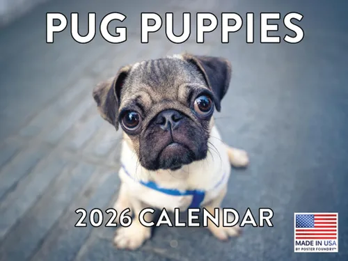 Miniatura 87 de Calendario de pared mensual 2025 Great Dane de 12 meses, fabricado en Estados Unidos