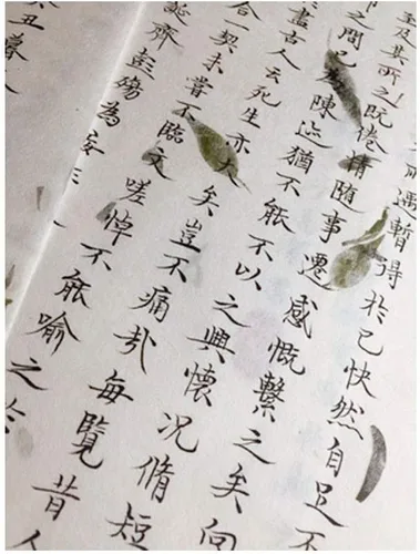 Miniatura 5 de LSHY Papel Xuan hecho a mano con acuarela maobiana, papel de arroz medio maduro con pétalos amarillos naturales, tamaño de papel A4 para niños