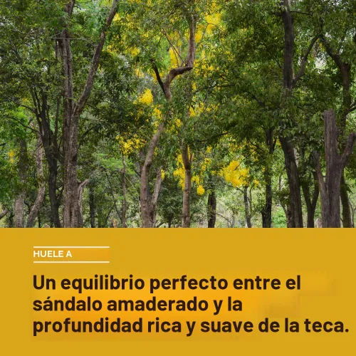 Miniatura 3 de Every Man Jack Desodorante para Hombre de Ámbar + Sándalo - Mantén la Frescura con Desodorante sin Aluminio Para Todos los Tipos de Piel - Elimina