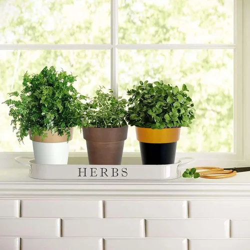 Miniatura 8 de Efavormart - Paquete de 2 macetas decorativas para interiores y jardines con borde blanco y dorado de 6 pulgadas