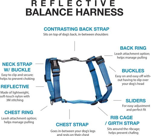Miniatura 2 de Blue-9 Arnés de balanceo con hebilla reflectante, ajustable sin tirones con costura reflectante 3M, ideal para entrenamiento y obediencia de perros