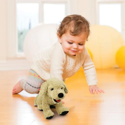 Miniatura 6 de LotFancy Animales de peluche de perros, 12 pulgadas, tiernos animales de peluche Golden Retriever, juguete de peluche de cachorro sentado, regalo