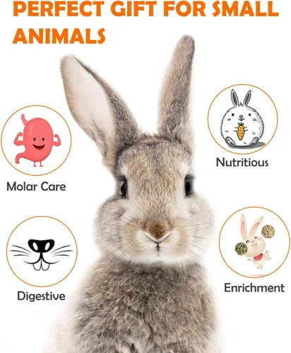 Miniatura 4 de Sofier Timothy Heno Treats - Juguetes para conejo, conejillo de indias, masticables naturales para dientes hechos a mano para conejos, masticables