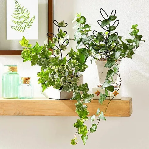 Miniatura 3 de Enrejado de jardín, enrejado pequeño en forma de hoja de hierro forjado para vides, rosas, plantas trepadoras, plantas en maceta (blanco)