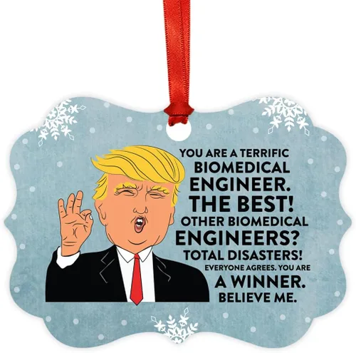 Miniatura 40 de Andaz Press Presidente Donald Trump Fancy Frame Recuerdo Adorno de Navidad Regalo de broma Ejecutivo de Cuenta, 1 paquete, Divertidas Ideas
