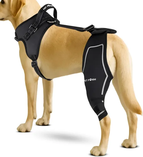 Miniatura 8 de Rodillera ajustable para perro- Pierna trasera derecha con arnés integrado- Soporte premium para recuperación de ligamento cruzado anterior