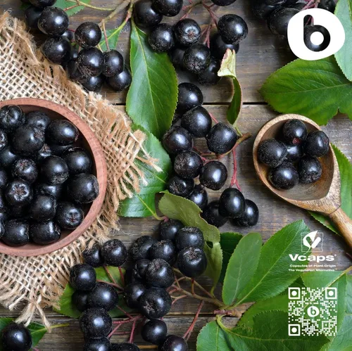 Miniatura 6 de Cápsulas orgánicas de bayas de Aronia – Suplemento de chokeberry negro con antocianinas y polifenoles naturales – Apoya el sistema inmunológico