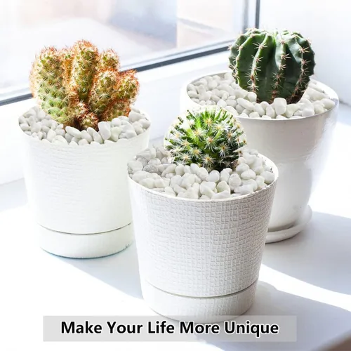 Miniatura 7 de YISZM Grava para suculentas y cactus de 10 libras, guijarros pulidos decorativos naturales blancos de 1/5 pulgadas para paisajismo, rocas de río