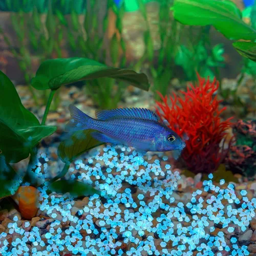 Miniatura 5 de 200 PCS Piedras Brillantes Guijarros, Jardinería Piedras Luminosas Brillantes Rocas Decoración Exterior Agua Brillante Tanque de Peces Grava (Azul)