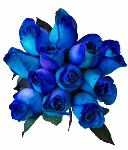Miniatura 11 de Rosas arcoíris recién cortadas de Flower Explosion