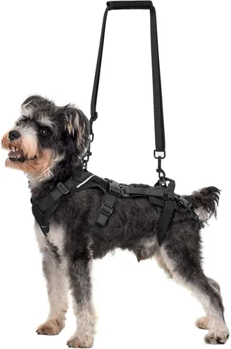 Miniatura 10 de OneTigris Arnés de elevación para perros pequeños XS, arnés transportador para perros pequeños, chaleco de elevación de cuerpo completo con correas