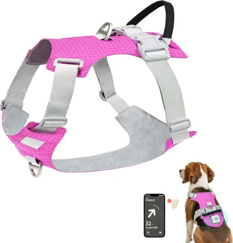 Joytale Arnés para perro sin tirones con soporte para AirTag, arnés suave de seguridad nocturna para perro con asa de control y 2 clips, chaleco