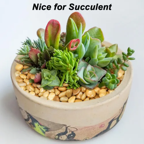 Miniatura 24 de Piedras decorativas para plantas en maceta, piedras de río Virekm, guijarros ornamentales decorativos, grava de piedras para paisajismo de jardín