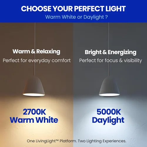 Miniatura 10 de EcoBright - Paquete de 4 bombillas de filamento LED A19 regulables, 10 W, equivalente a 100 W, 1100 lúmenes, blanco cálido, 2700 K, base E26, CRI90
