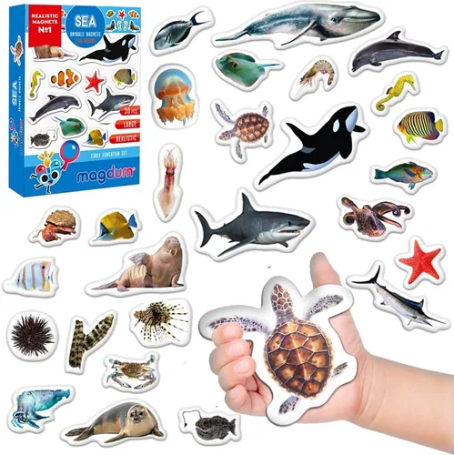 Imanes de nevera para niños pequeños – magdum – 30 imanes de animales marinos para refrigerador – Imanes reales de animales del océano para niños –