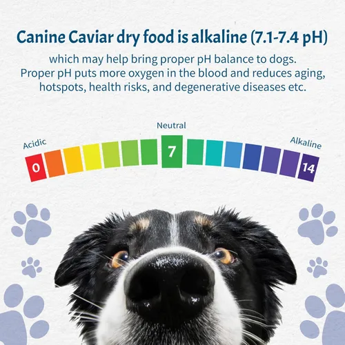 Miniatura 3 de Canine Caviar - Wild Ocean: Alimento seco alcalino para perros con arenque y teff, ingredientes limitados, sin gluten, basado en ciencia e