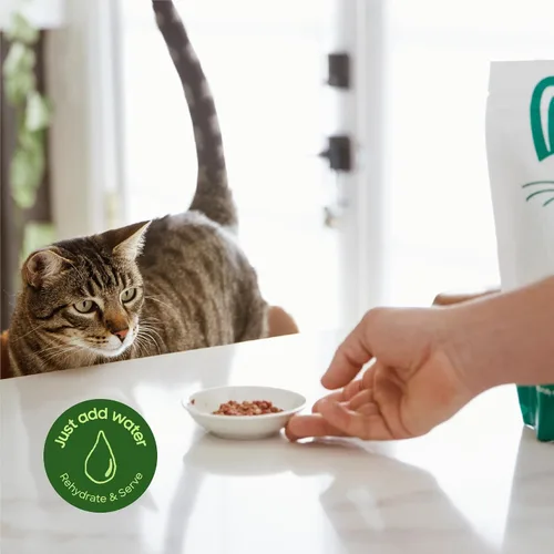 Miniatura 7 de smallbatch Alimento crudo liofilizado para gatos, bocados de alimentos estables en conservación, receta de pavo, comida o adorno alto en proteínas