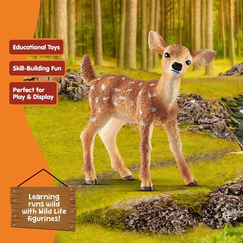 Miniatura 5 de Schleich Wild Life - Figura realista de ciervo de cola blanca auténtica y altamente detallada - Juguete de animal salvaje duradero para educación