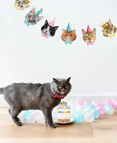 Miniatura 4 de TSJ 16 adornos para cupcakes de gato, decoración de pastel de cumpleaños para gatos, decoración de fiesta temática de gatitos, palitos para pastel