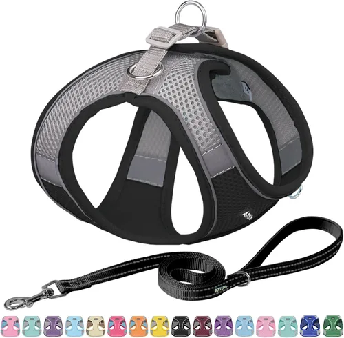 Miniatura 9 de AIITLE - Juego de arnés y correa para perro sin tirones, arnés ajustable para perros con chaleco acolchado para todo clima, correa para perros
