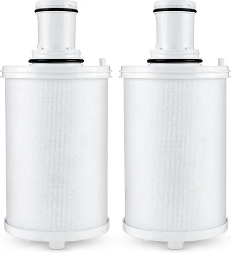 Repuesto de filtro 100186, compatible con Amway eSpring UV Purifier 100185, 100186, 100187, 100188, 100189, 110720, 118384, 2 unidades