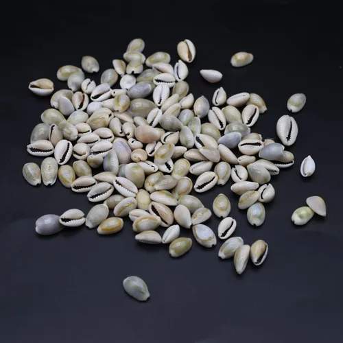 Miniatura 4 de Acuario de concha natural para pecera, cuentas hechas a mano para hacer joyas, manualidades, pulsera, accesorio