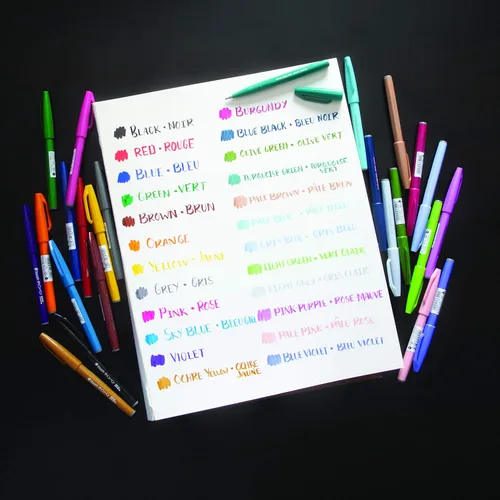 Miniatura 11 de Pentel Arts Sign Pen - Rotulador con punta de pincel, colores surtidos, caja de 12 unidades (SES15C2PC12)